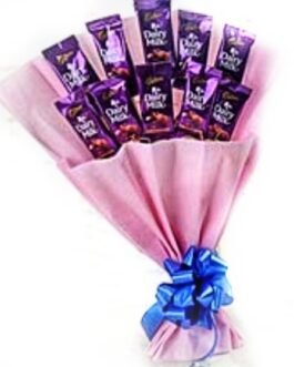 Dairy Milk Bunch